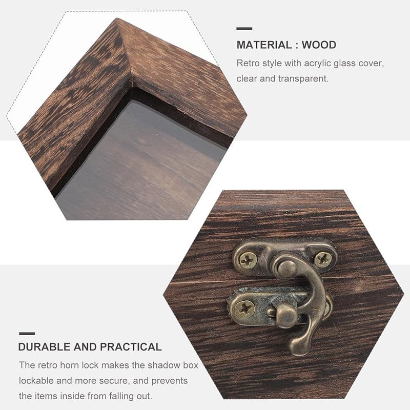 حافظة عرض خشب الباولونيا المتفحم مع غطاء شفاف قابل للقفل لمجموعات الحشرات والزهور والمجوهرات - Image 3